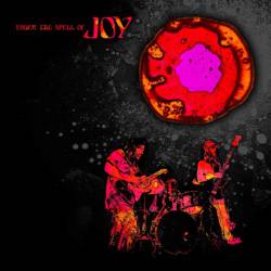 Joy (USA) : Under the Spell of Joy